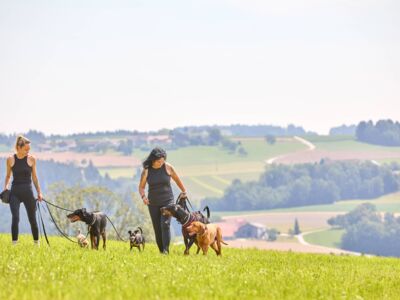 /assets/images/0/werbung-am-inn_fotografie_hundeschule12-wj9hs56jwb5xha7.jpg