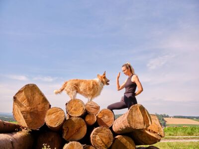 /assets/images/6/werbung-am-inn_fotografie_hundeschule18-k8esqwmxwnv79p1.jpg