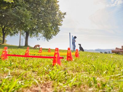 /assets/images/7/werbung-am-inn_fotografie_hundeschule17-3f21tnj3ds9cebj.jpg