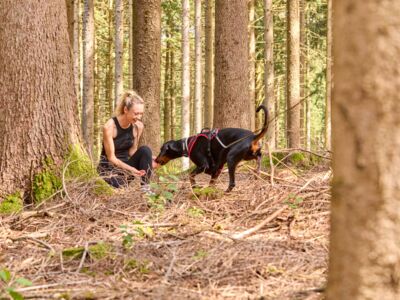 /assets/images/c/werbung-am-inn_fotografie_hundeschule06-40ae5gzyk351b9e.jpg